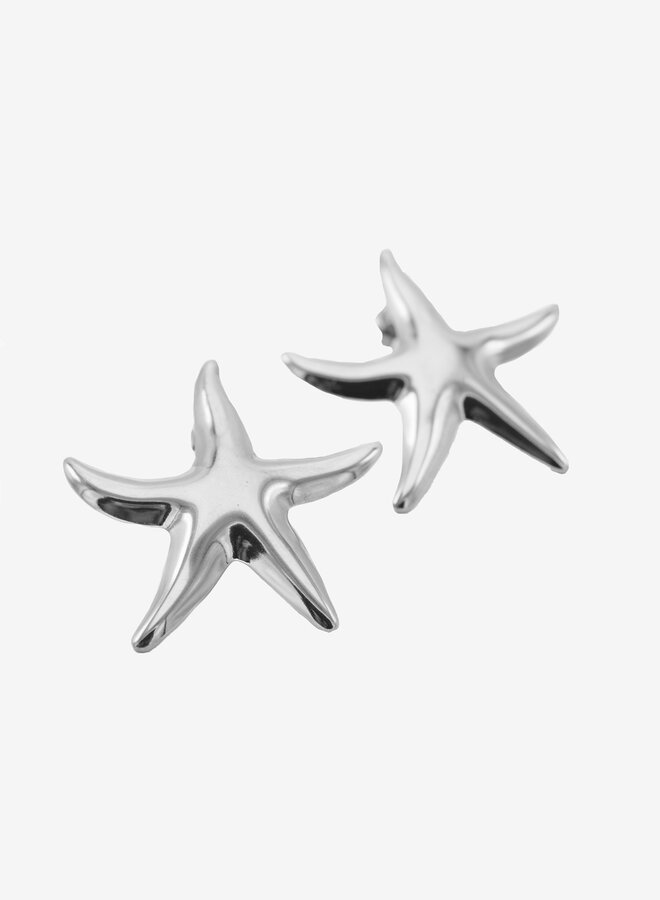 Statement oorbellen zeester