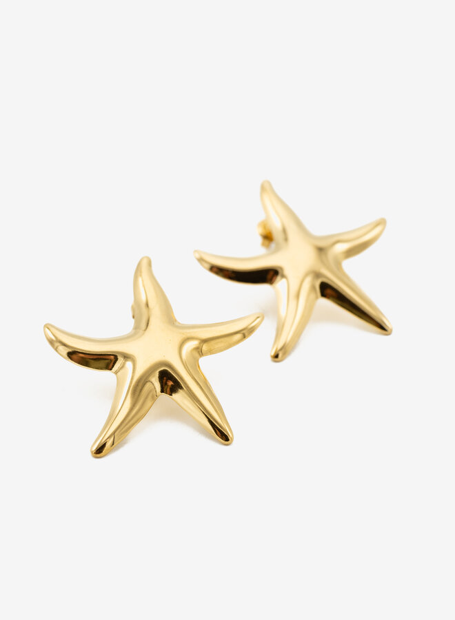 Statement oorbellen zeester