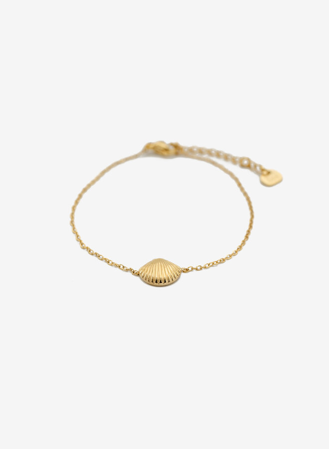 Armband met kleine schelp
