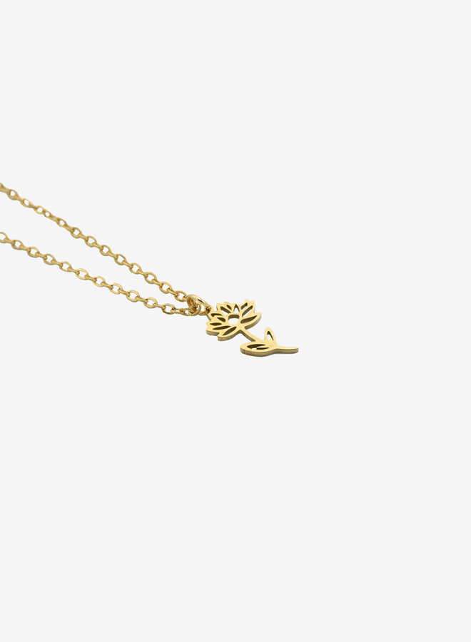 Ketting geboortebloem waterlelie juli