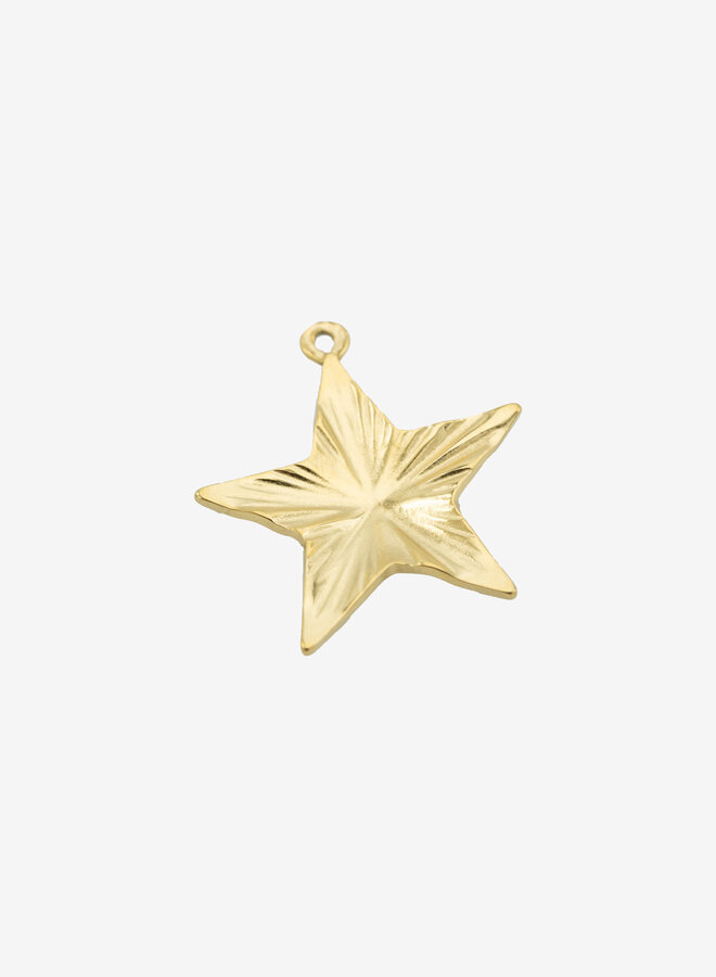 Bedel grote ster goud