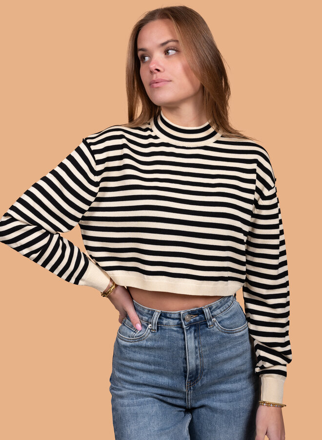 Korte gestreepte trui col zwart