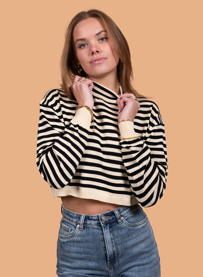 Korte gestreepte trui col zwart