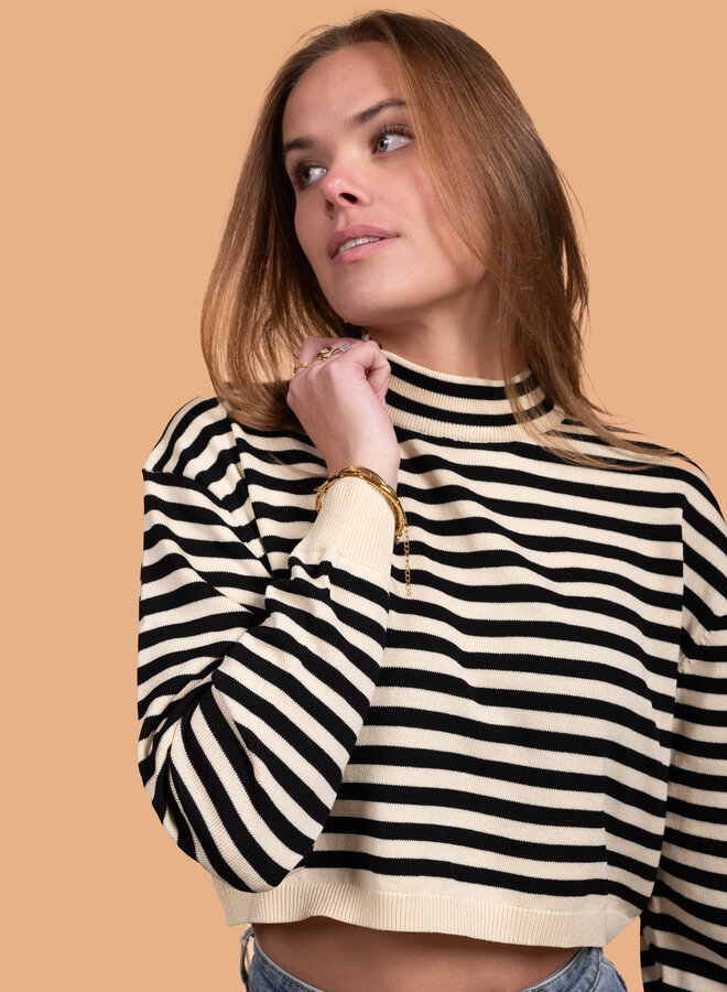 Korte gestreepte trui col zwart