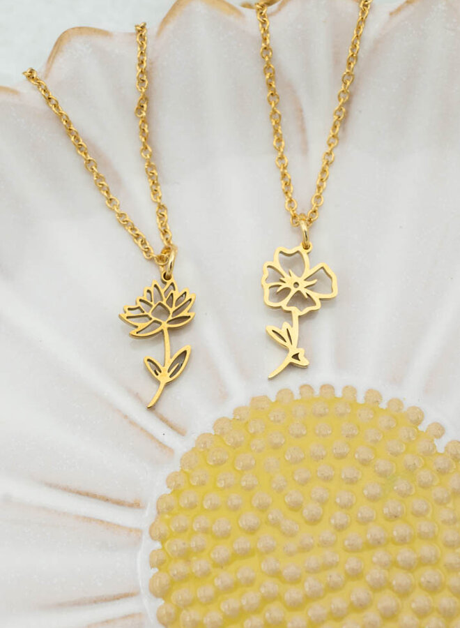 Ketting geboortebloem waterlelie juli