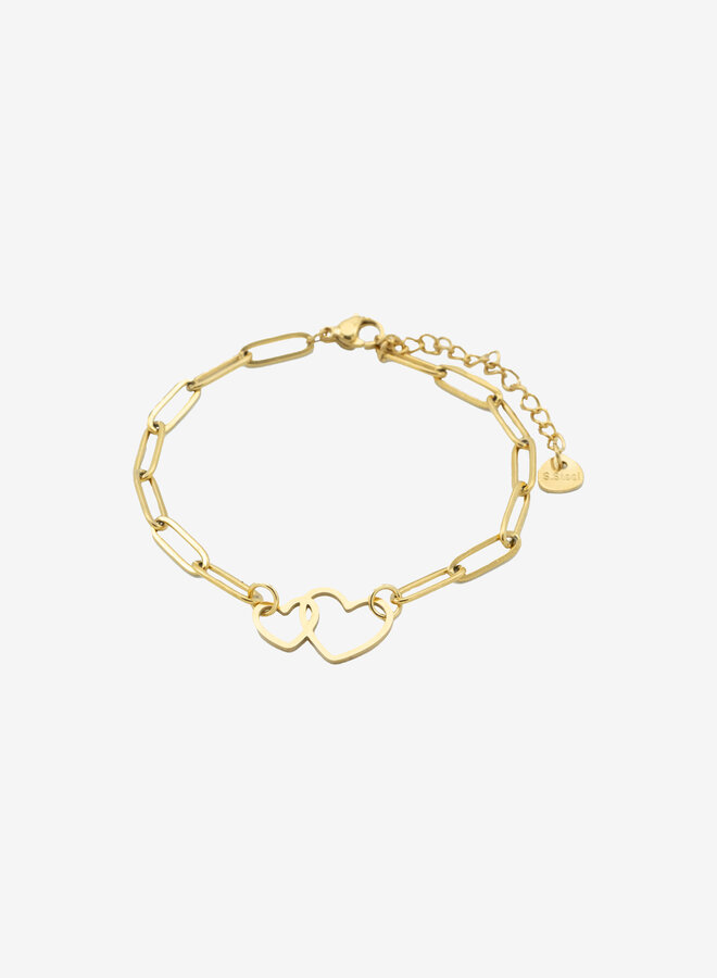 Schakelarmband dubbel hart