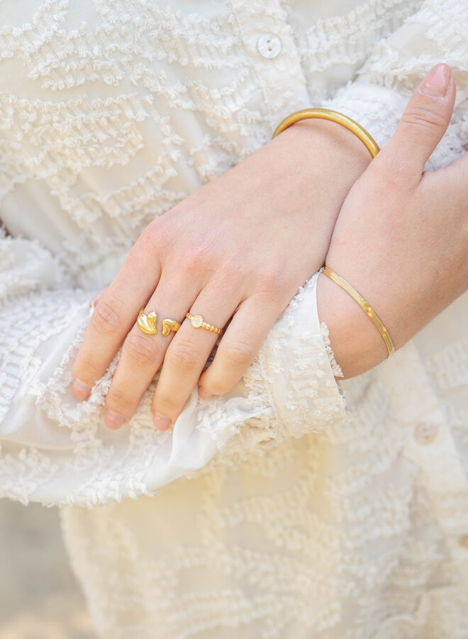 Ring verstelbaar twee hartjes