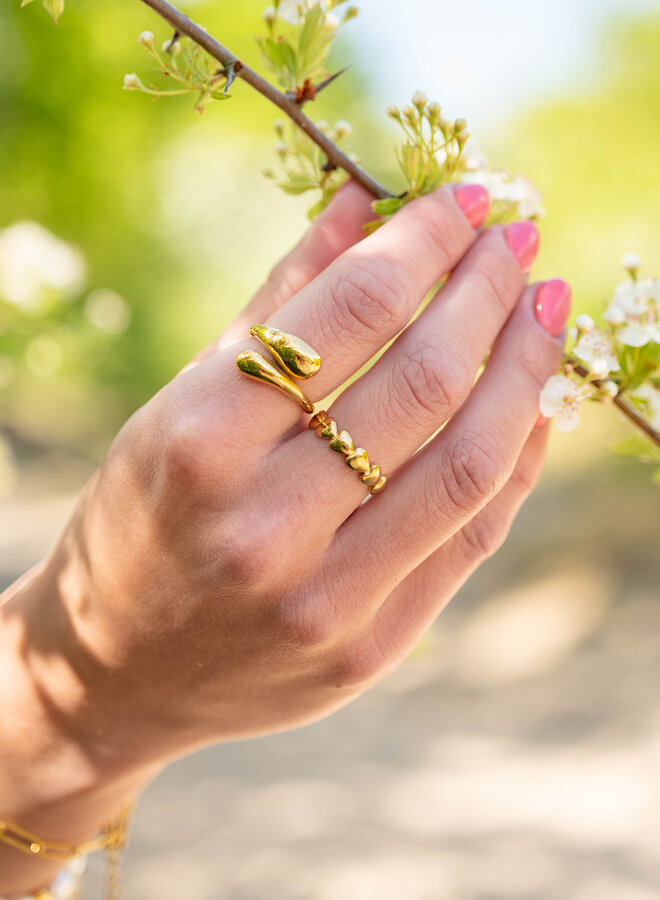 Ring hartenrij goud