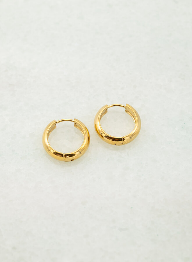 Kleine elegante oorringen goud