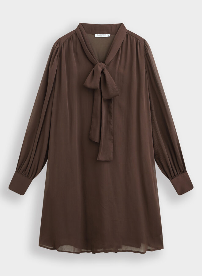 Classy jurk Sanne bruin