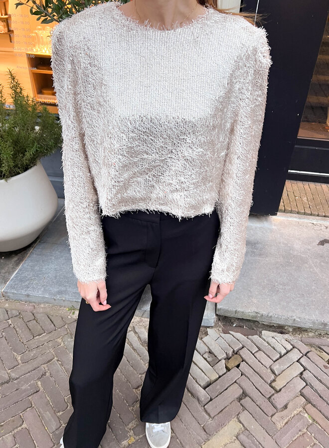 Top glitters Viv beige