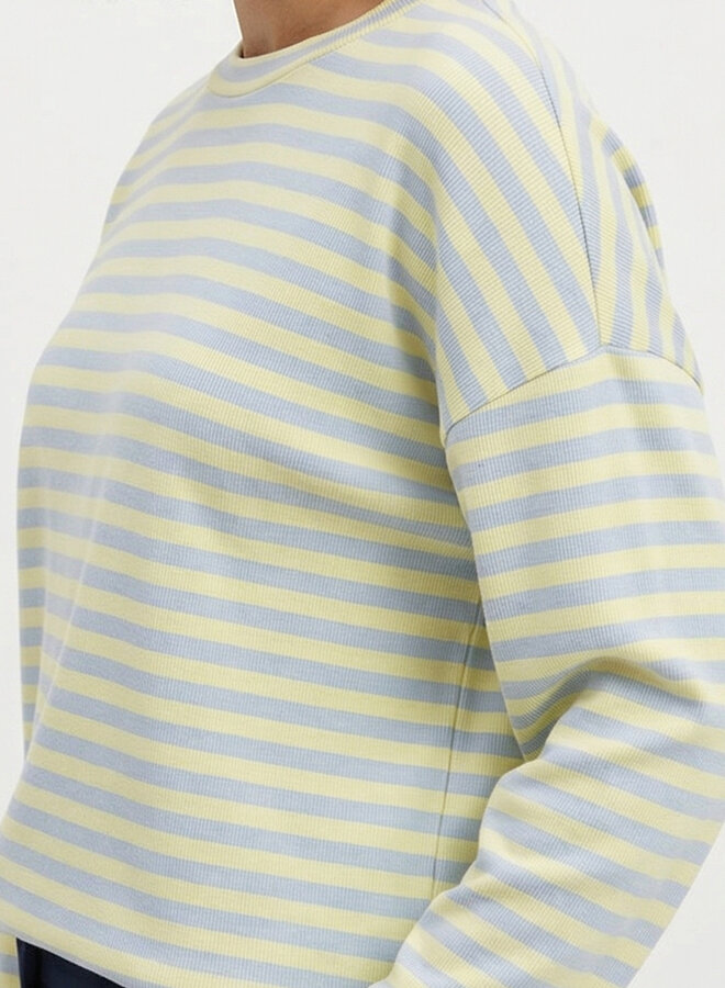 Gestreept shirt blauw met geel