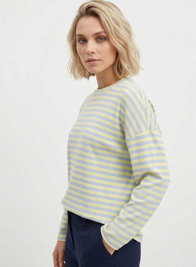 Gestreept shirt blauw met geel