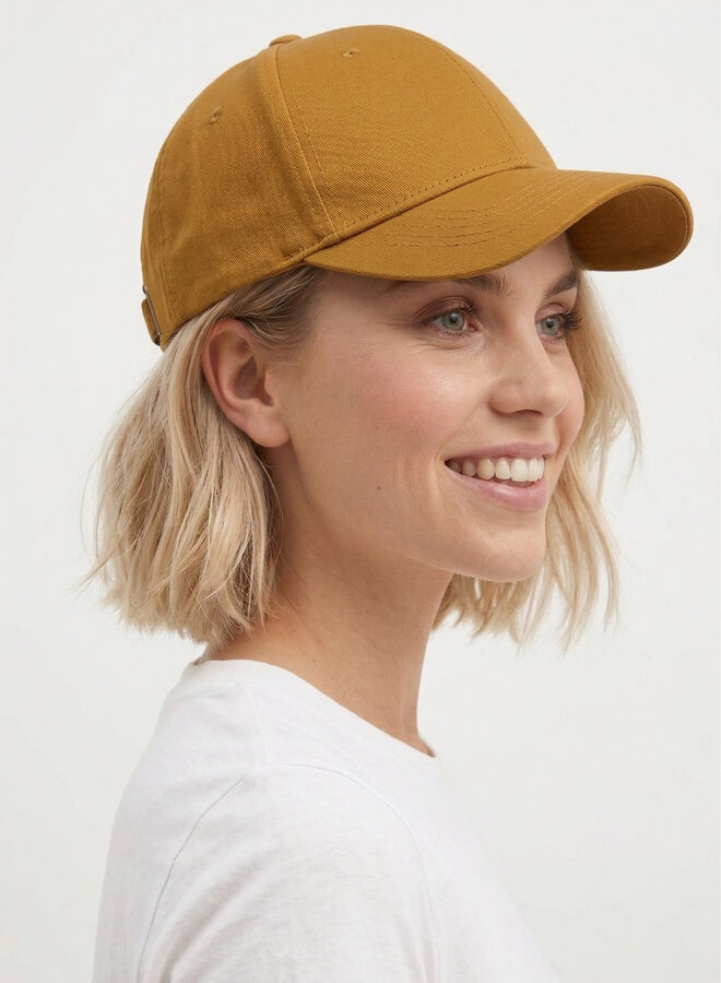 Pet LIMITLESS  effen cognac