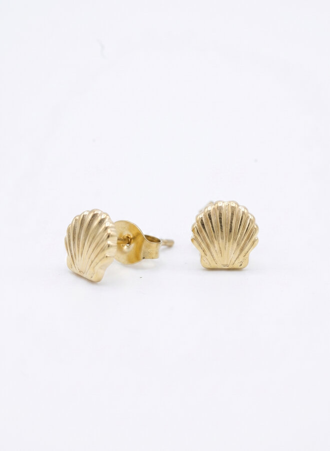 Oorknopjes schelp goud