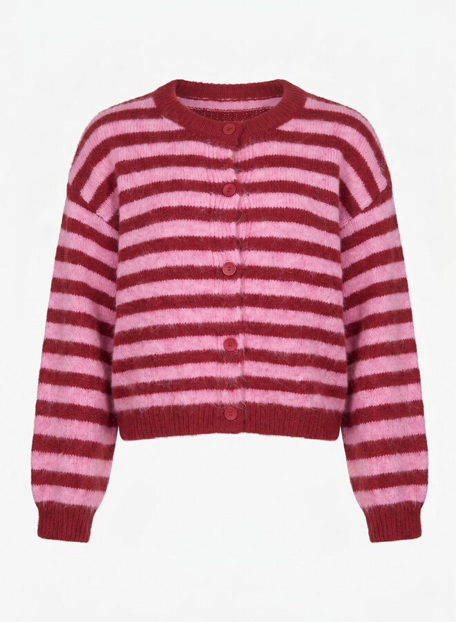 Gestreept vest Bo roze rood