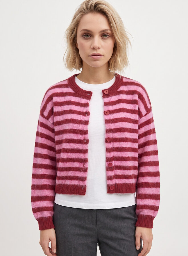 Gestreept vest Bo roze rood