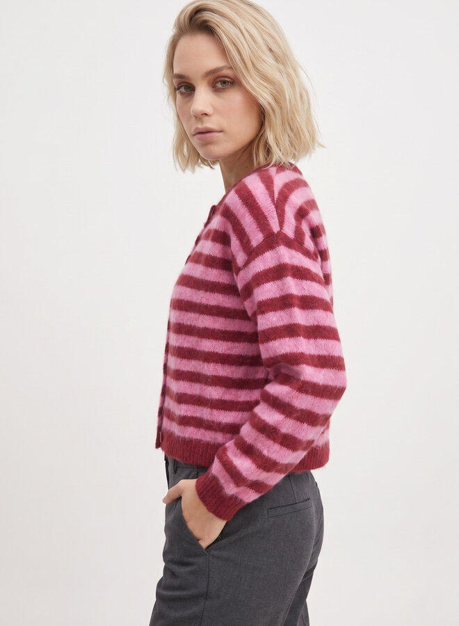 Gestreept vest Bo roze rood