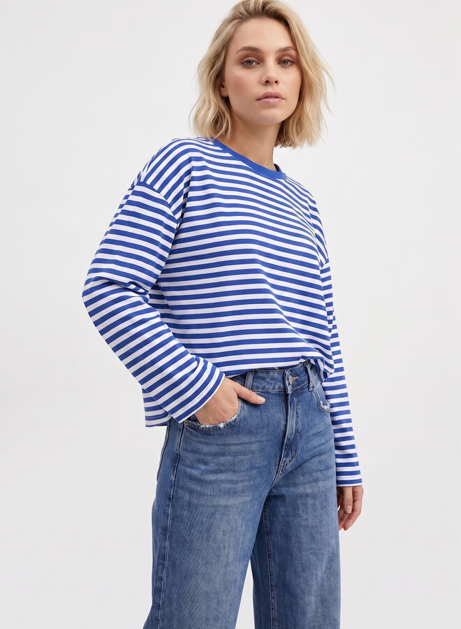 Longsleeve gestreept blauw