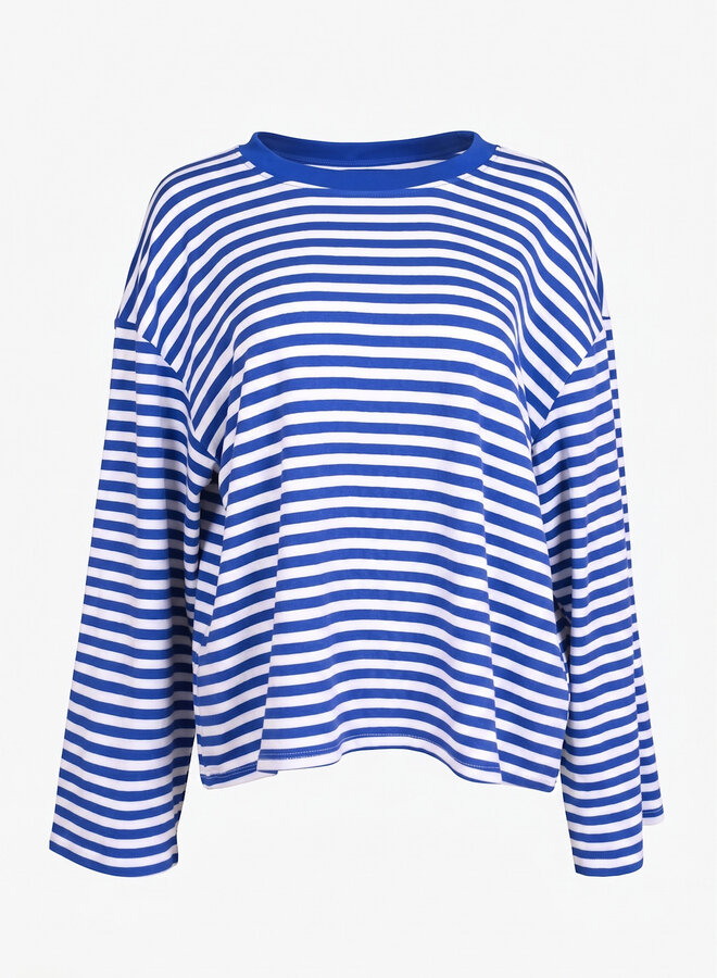 Longsleeve gestreept blauw