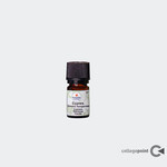 Volatile Volatile Cypres 5 ml