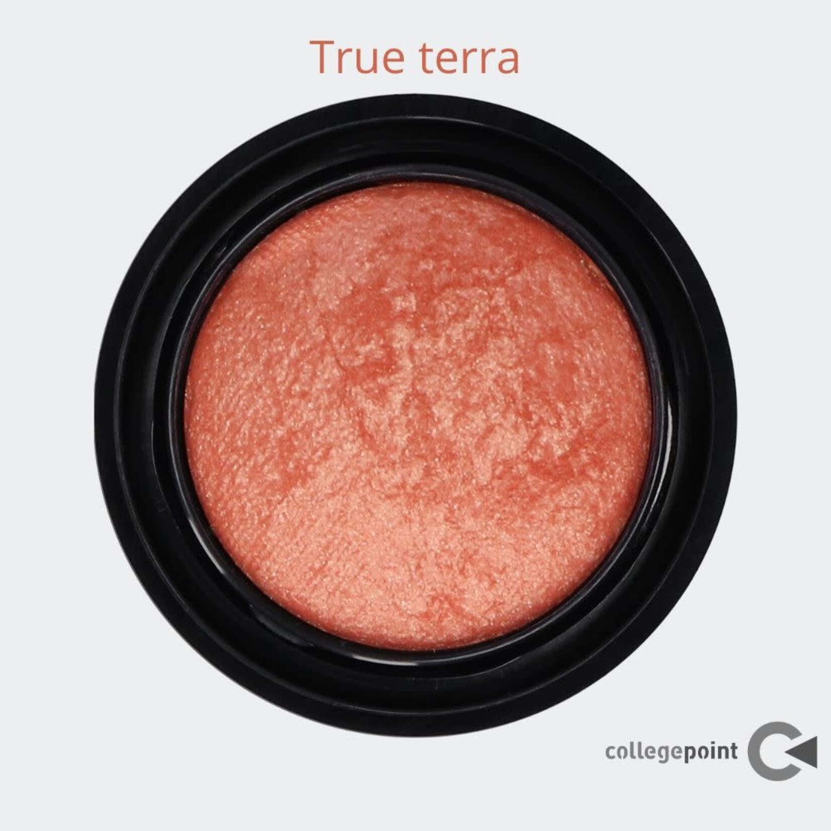 Make-Up Studio Blusher lumiere