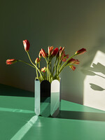 Hay Arcs Vase-Large-Mirror
