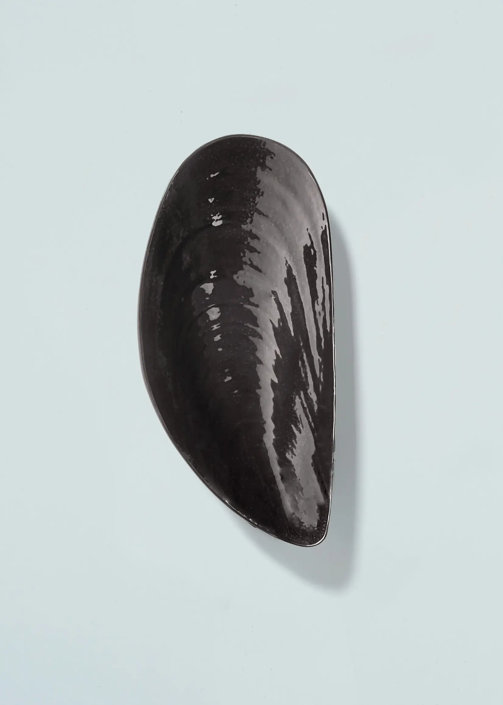 Serax Mussel bowl black - S