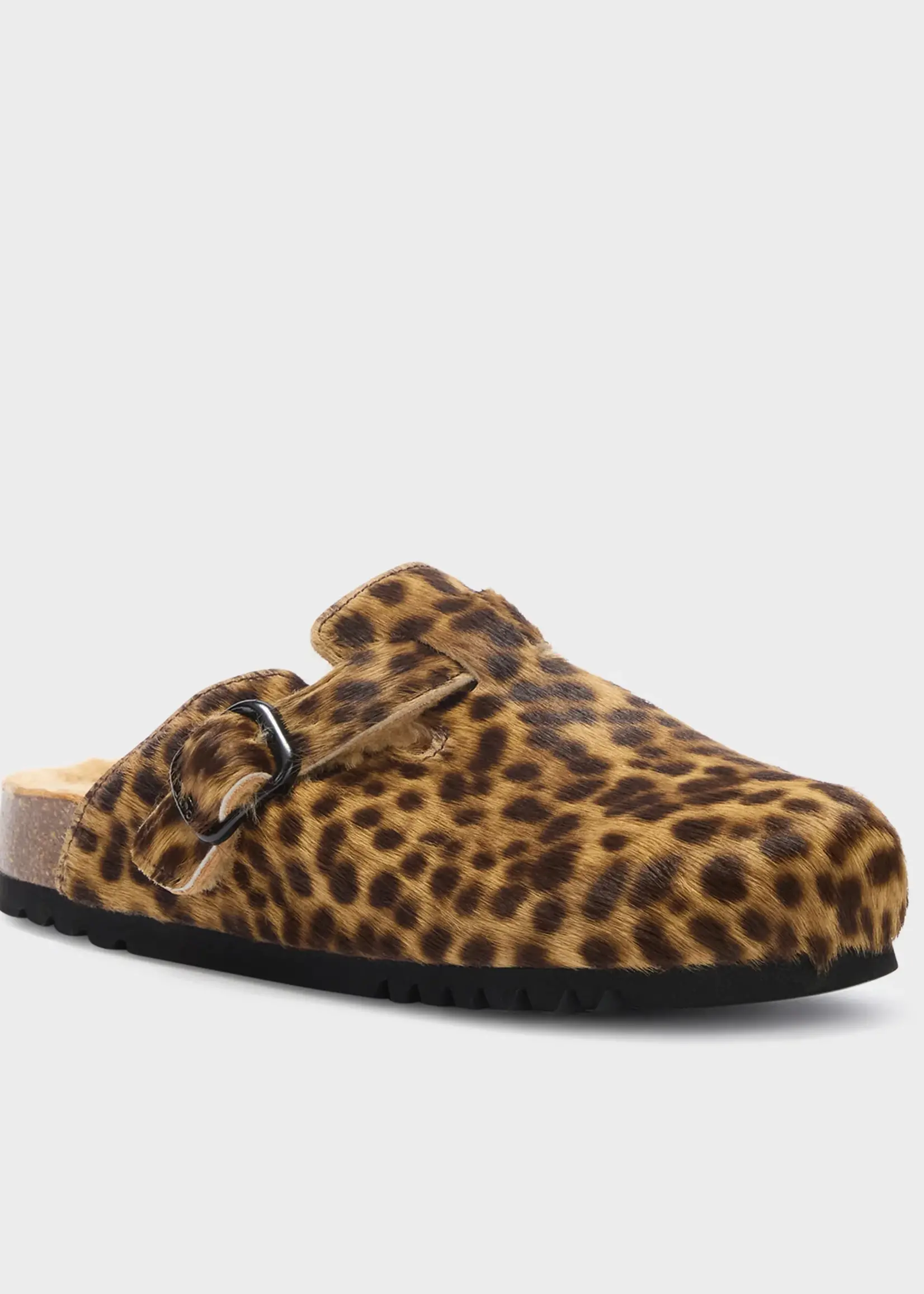 scholl Fae Clogs - Iena