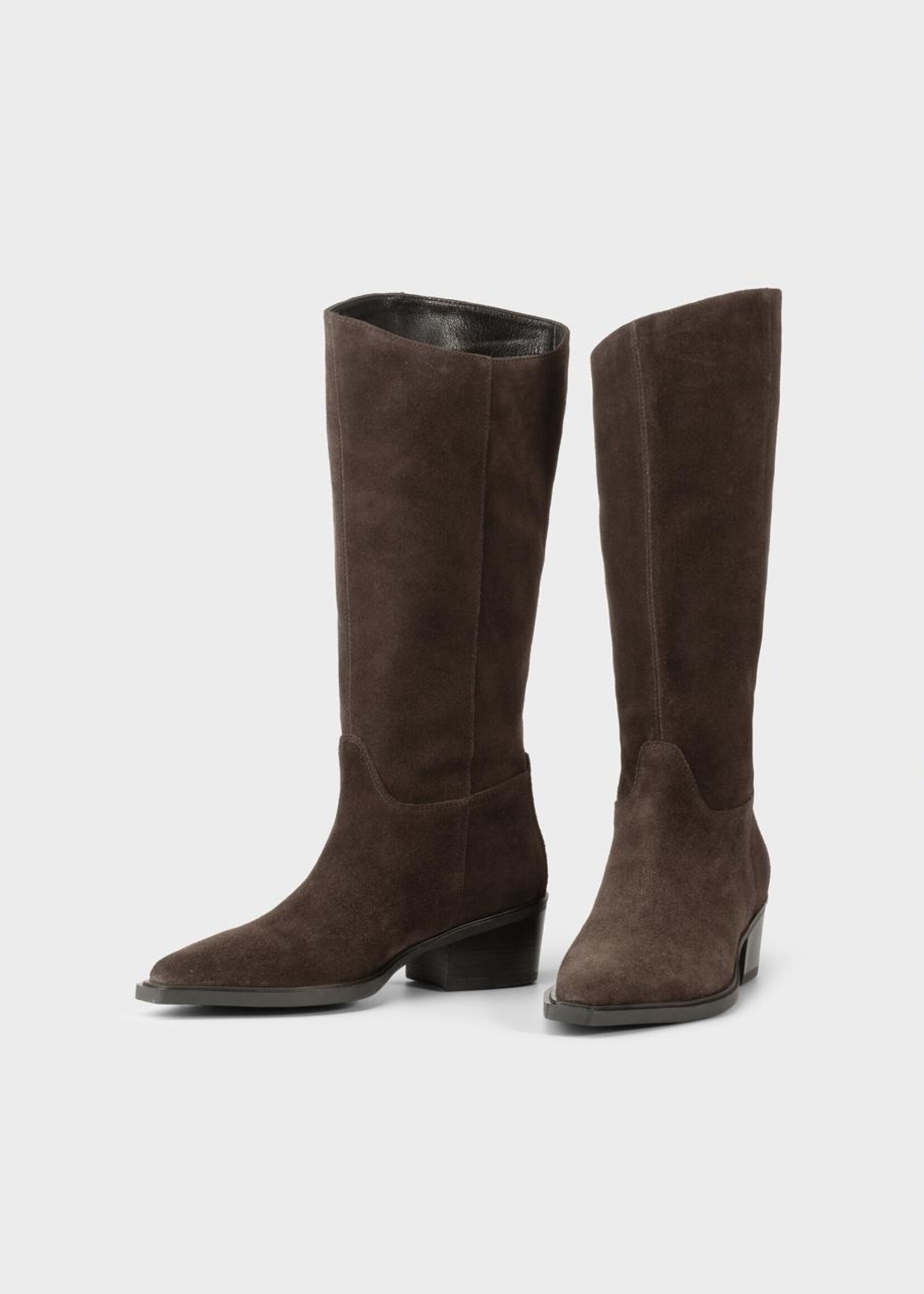 Vagabond Kelsey - Java