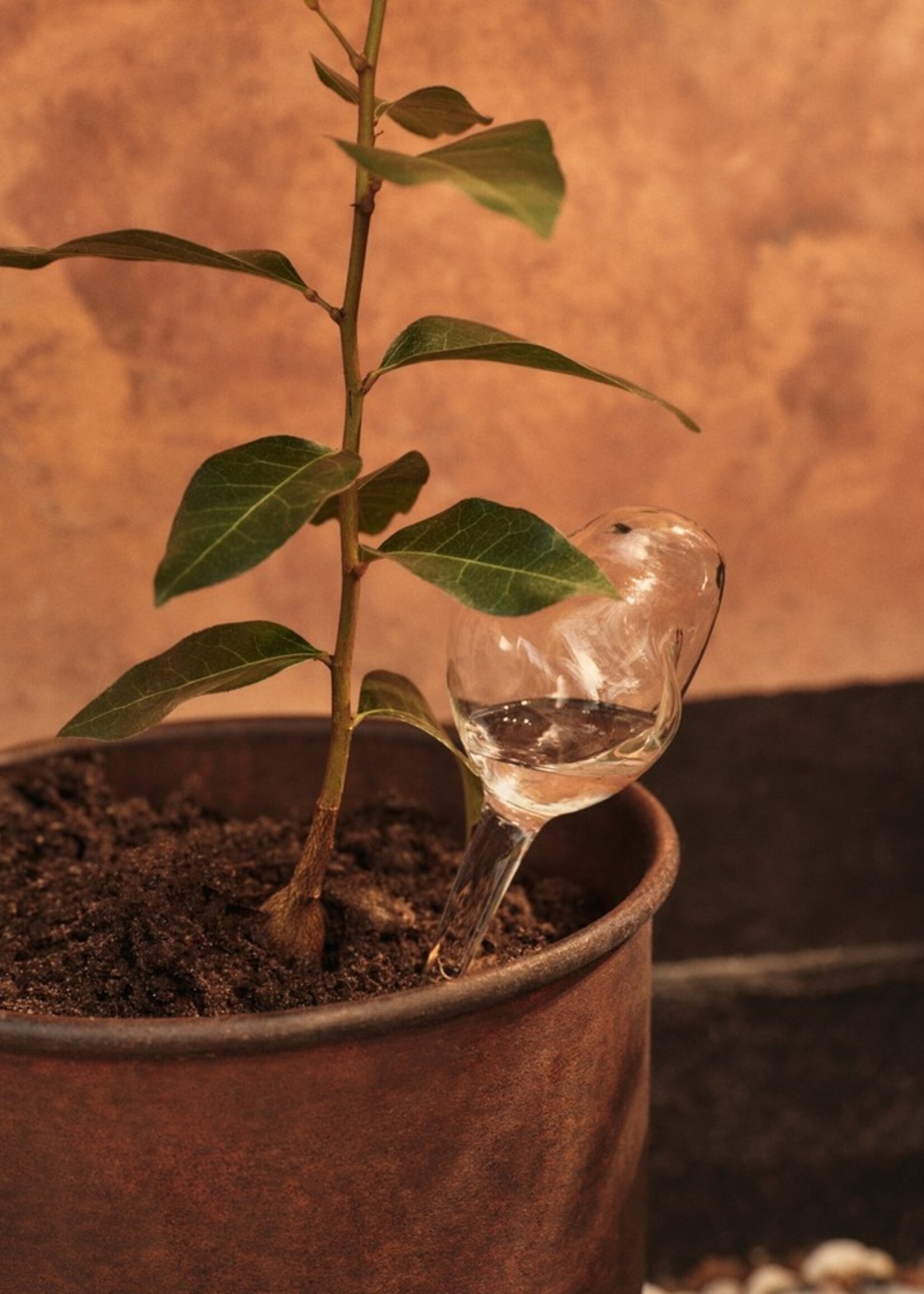 Ferm Mercury Water Globes - Small - Set of 2 - Clear