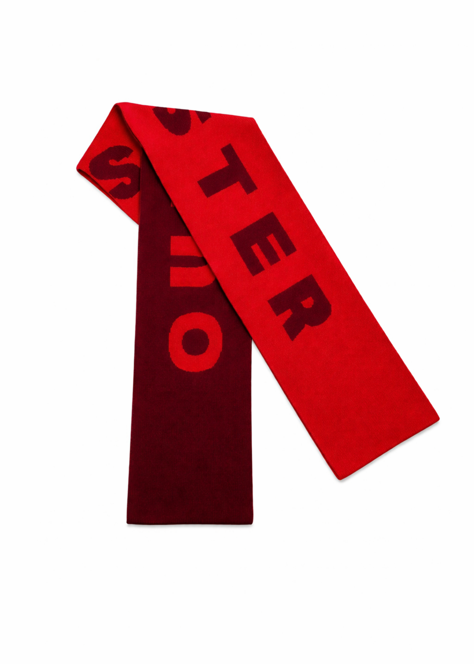 our sister Alba - Logo Scarf