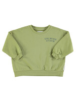 Piupiuchick Piupiuchick - Sweatshirt | Sage green w/ "calming storm" print