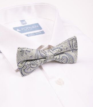 FORMEN strik paisley groen