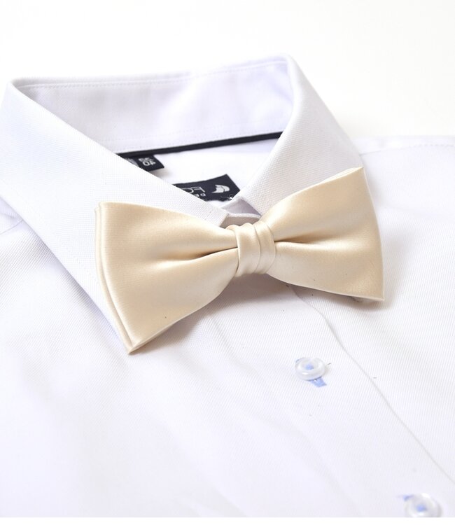 strik satijn champagne 1