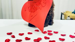 Hoe verras je uw lief met valentijn? Hier de top 6 van meest gekochte cadeautjes. Hoe verras je uw lief met valentijn? Hier de top 6 van meest gekochte cadeautjes.