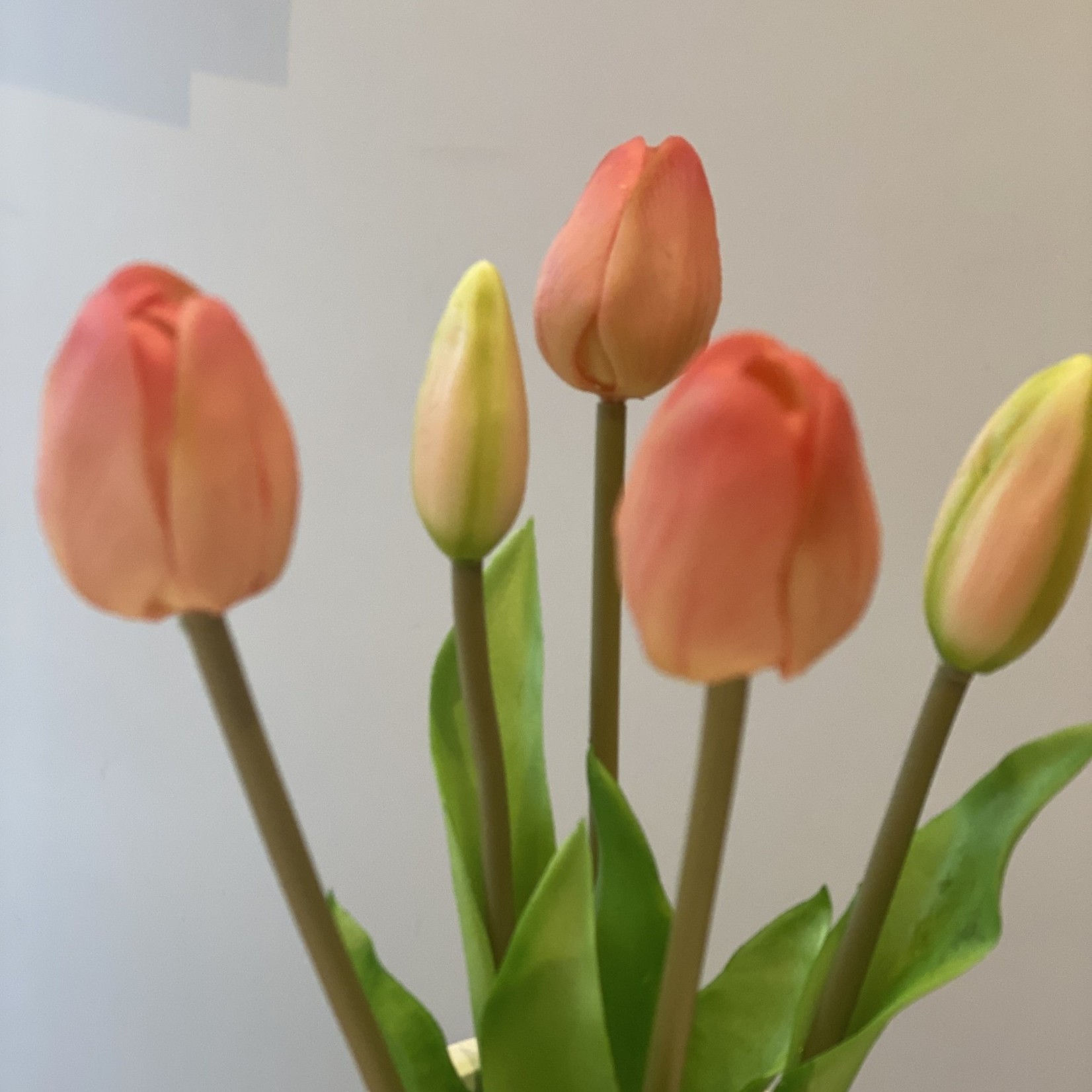 Tulpen roos bundel van 5 kunsttakjes