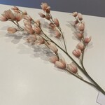 Bloem pistachio flower 105cm peach