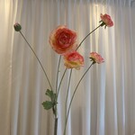 Bloem Ranunculus beauty 90cm