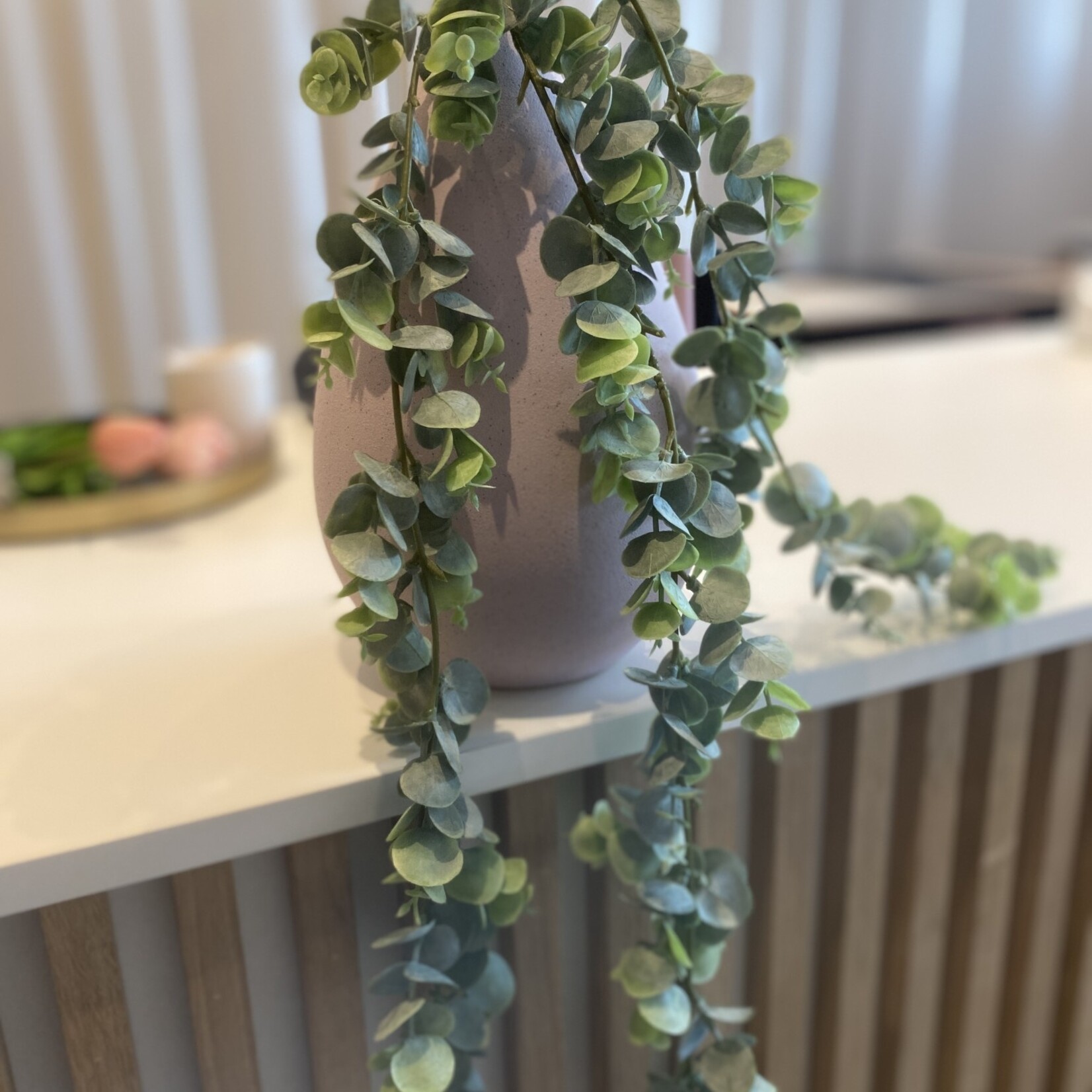 Eucalyptus hanger