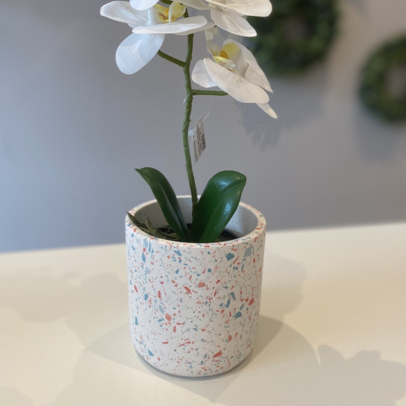Orchidee wit in pot L34cm