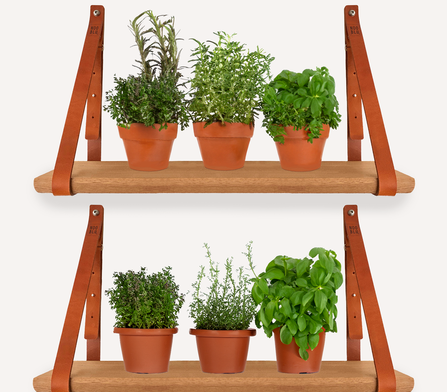 Leather shelf supports