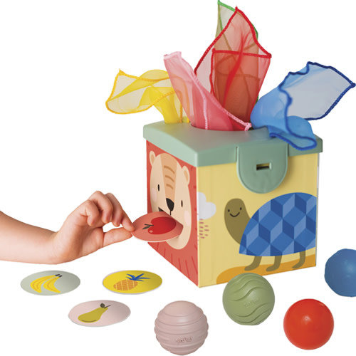 taf toys Magic box 12m+