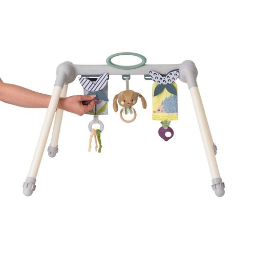 taf toys Urban Garden Foldable Baby Gym