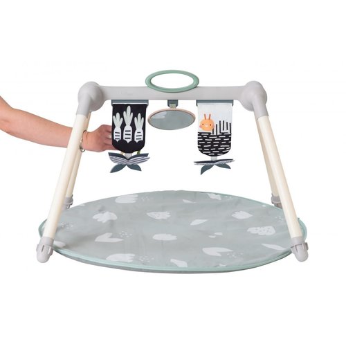 taf toys Urban Garden Foldable Baby Gym