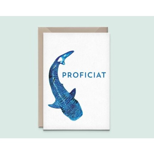 Kathings Whaleshark – congrats Kathings Whaleshark – congrats