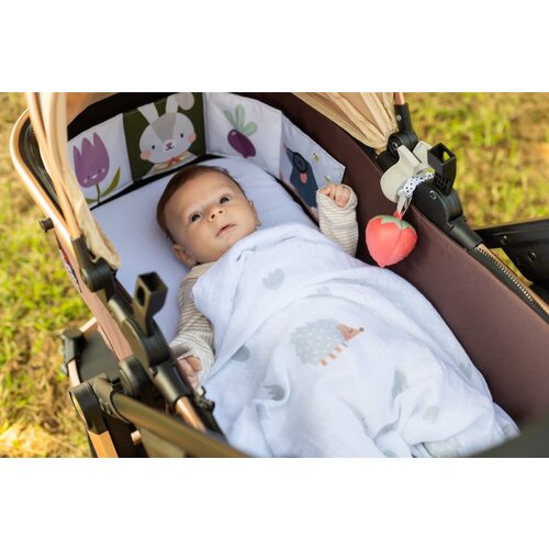 taf toys Newborn outdoors kit