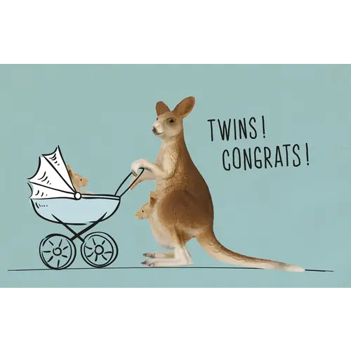 leuke kaartjes kangoeroe - twins congrats