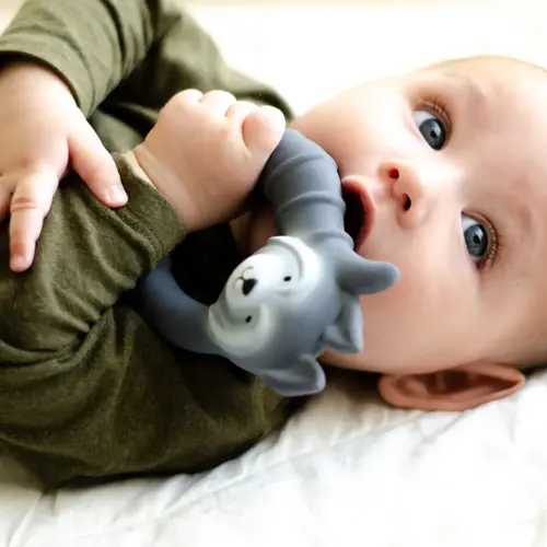 natruba Teether Raccoon - Grey