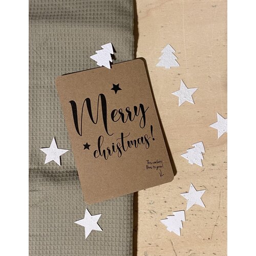 Bloom your message card flowers confetti - merry christmas